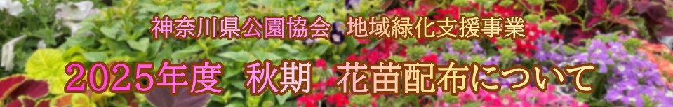 花苗配布について
