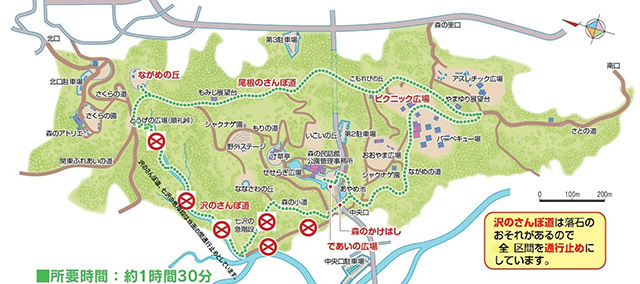 こもれび～森林満喫コース