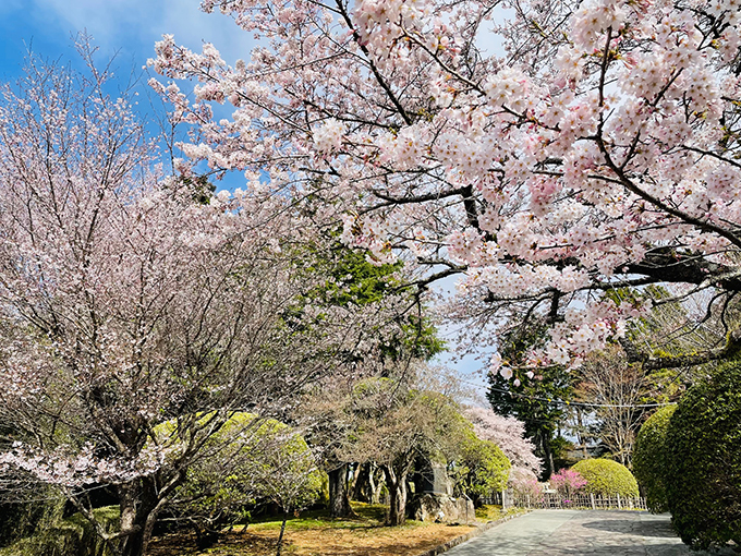 県立恩賜箱根公園