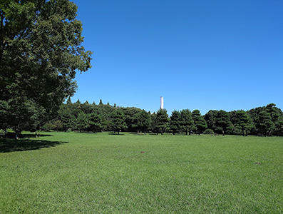 Portfolio Image