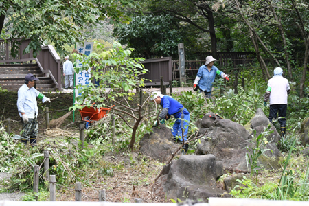 谷戸山自然ボランティア