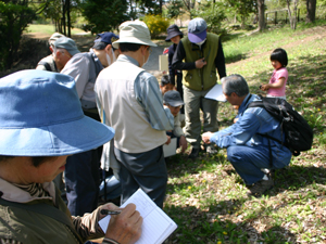 グリーンタフ（神奈川県自然観察指導員連絡会）