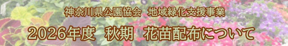 花苗配布について