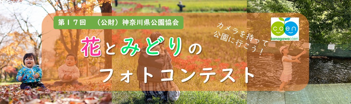 フォトコンバナー