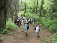 神奈川県立陣馬相模湖自然公園登山