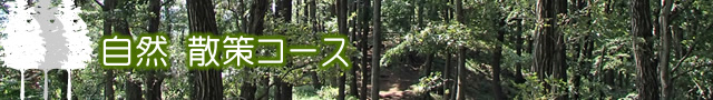 七沢森林公園の散策コース