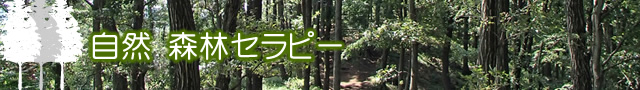 七沢森林公園の森林セラピー