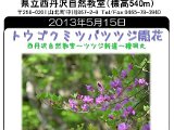 tanzawa_shuhen130515b.jpg
