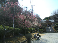 塚山公園写真