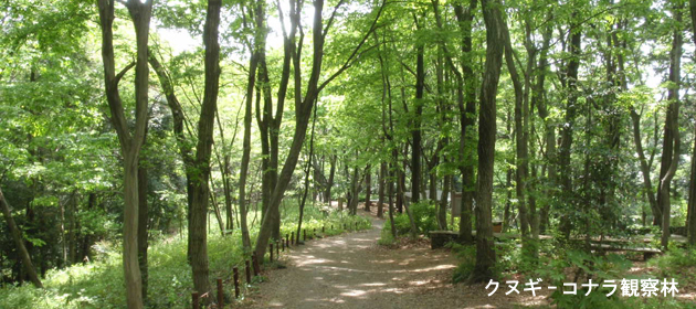 座間谷戸山公園の様子2