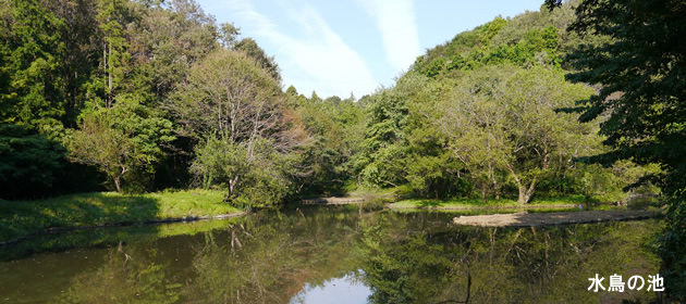 座間谷戸山公園の様子3