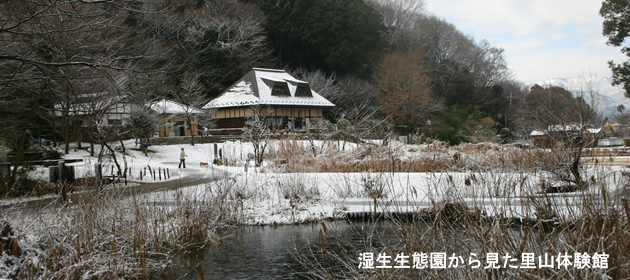 座間谷戸山公園の様子4