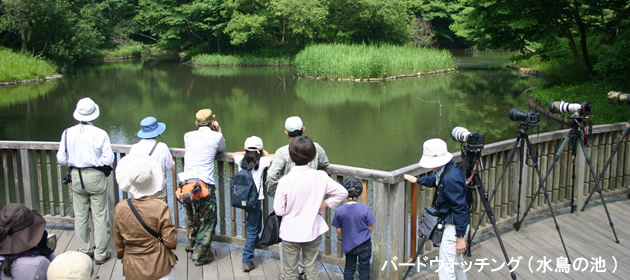 座間谷戸山公園の様子5