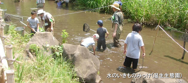 座間谷戸山公園の様子6