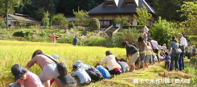 座間谷戸山公園の様子7